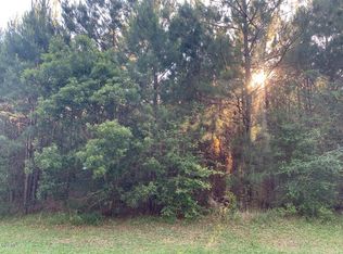 0 Lake Dr LOT E, Perkinston, MS 39573