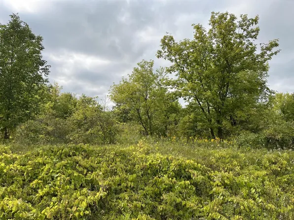 Lt4 PELISHEK ROAD, Adell, WI 53001