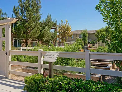 Homecoming at Terra Vista — Photo 18