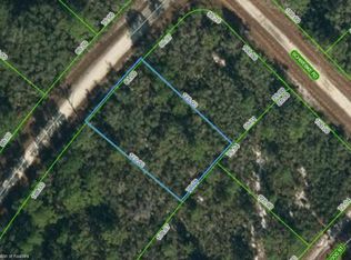 831 Fleetwood St, Lake Placid, FL 33852