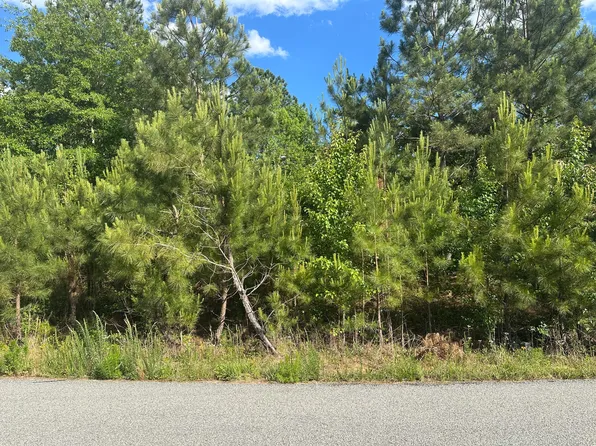 1328 Oakridge Plantation Road, Hephzibah, GA