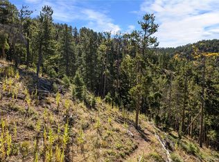 13126 Andiron Way #126, Larkspur, CO 80118