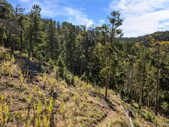 13126 Andiron Way LOT 126, Larkspur, CO 80118