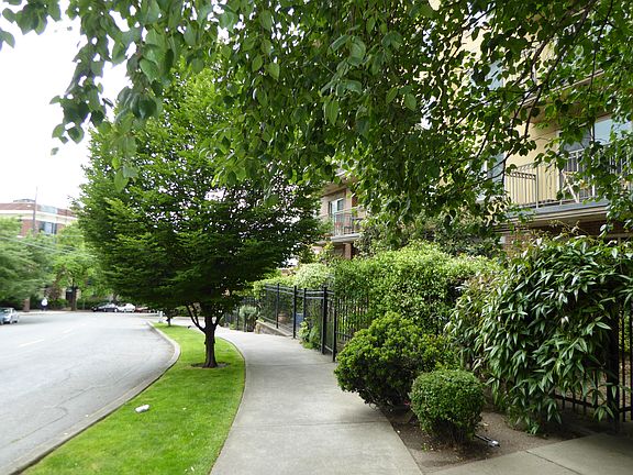 Street View to Private Yard 