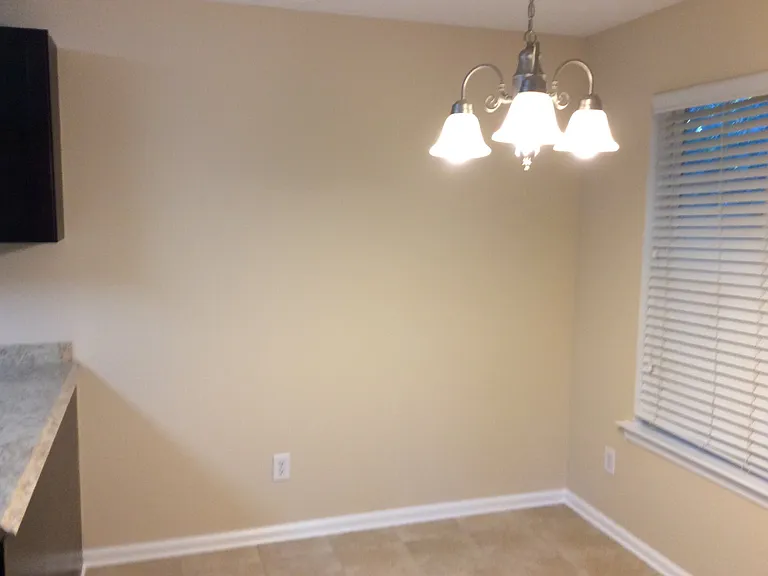 4015 Yellow Pine Ct — Photo 9