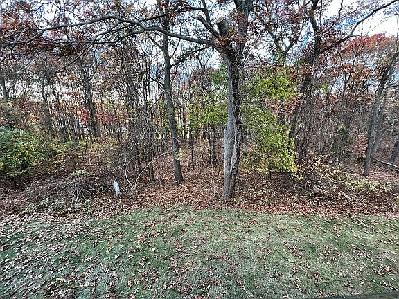 3rd image of 12 Birch Ct