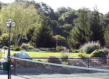 Wonderfully Landscaped