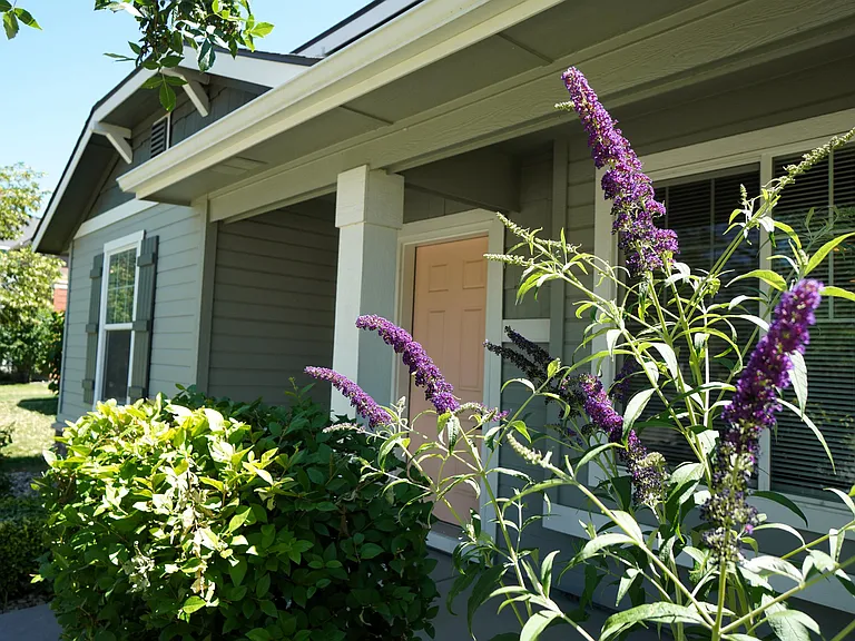 163 W Lava Falls Dr — Photo 3