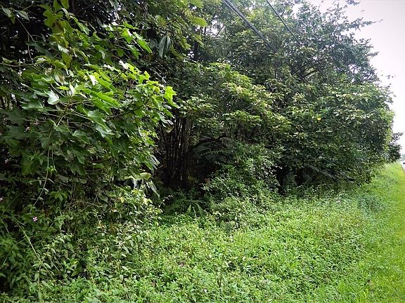 4th image of 13-1074 N Leilani Ave Lot 31