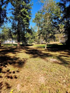 14029 Jamaica, Willis, TX, 77318
