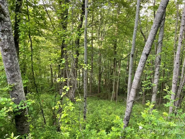 56 Scenic View Dr, Hendersonville, NC 28792