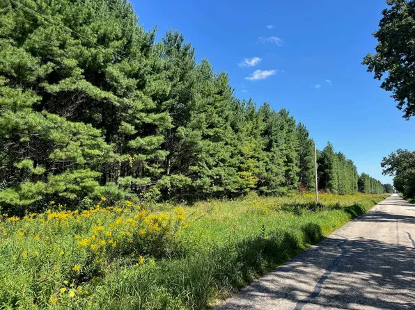 Edgewood Ave, Adams, WI 53910