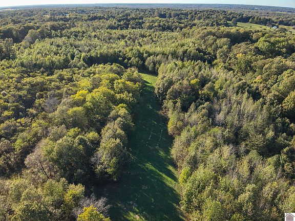 2nd image of 115 County Road 1039