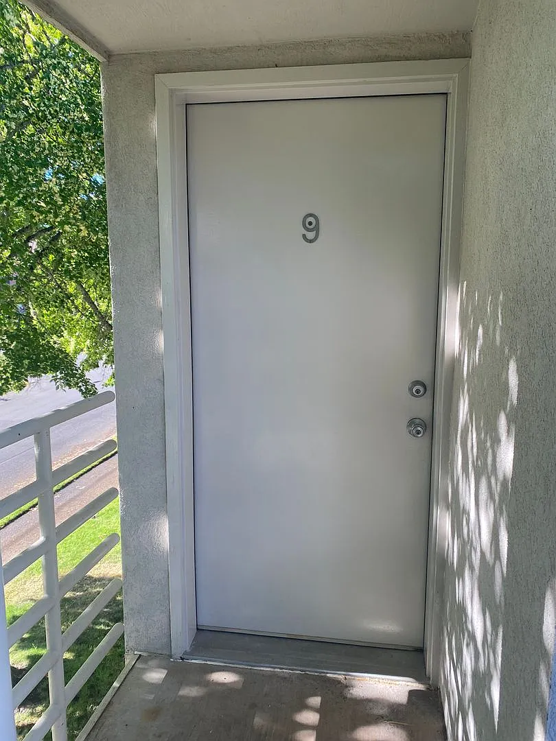 (343) Paletine Apts - 1 Bedroom / 1 Bathroom — Photo 2