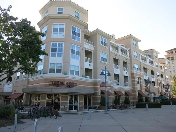 20488 Stevens Creek Blvd, Cupertino, CA