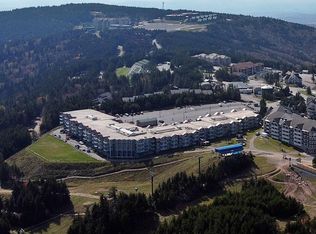 182 Mountain Ldg, Snowshoe, WV 26209