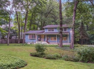 31 Ironia Rd, Randolph, NJ 07869