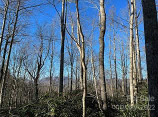 99999 Cane Creek Rd #1, Fairview, NC 28730