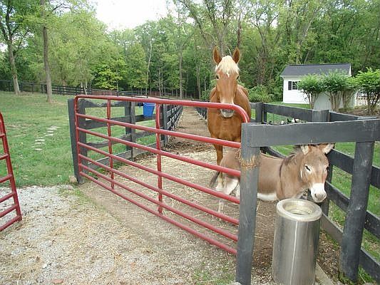 2 Stall Stables
