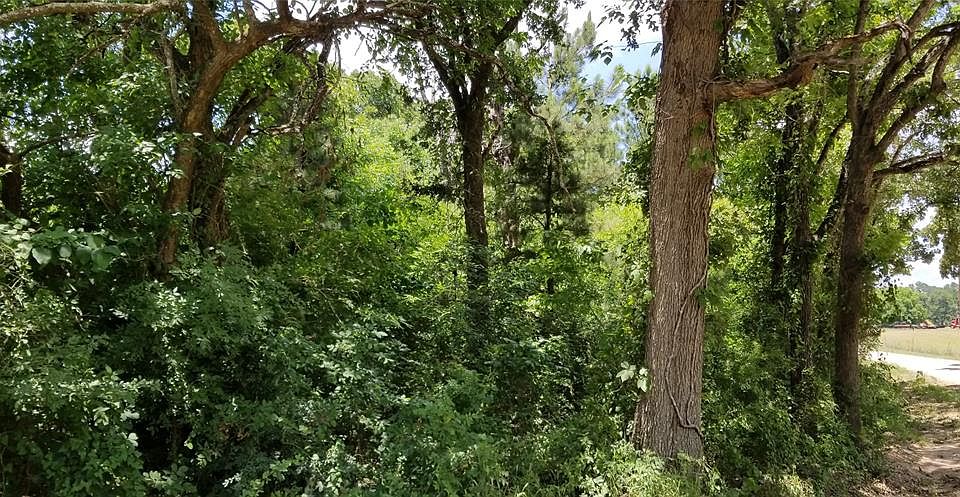 1st image of Tbd Pine Dr E