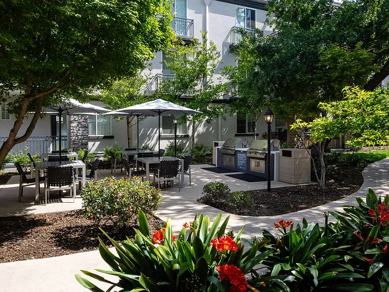 BBQ grills and picnic areas