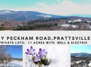 167 Harry Peckham Road, Prattsville, NY 12468