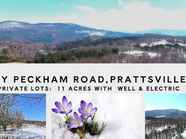 167 Harry Peckham Road, Prattsville, NY 12468