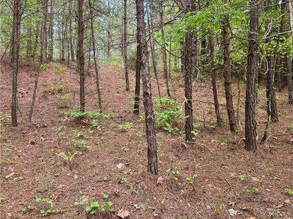 0 Shyers Ford Rd, Talking Rock, GA 30175