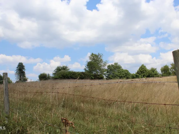 Tbd Chestnut Ridge Rd, Chilhowie, VA 24319