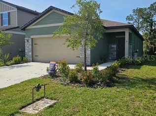 10607 Ladybug Cv, Parrish, FL 34219