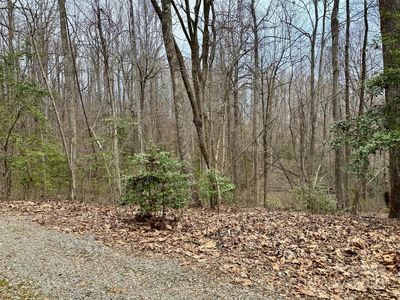 0 Orchard Mountain Rd, Saluda, NC, 28773
