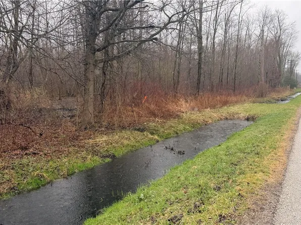 Ninevah Rd, Geneva, OH 44041