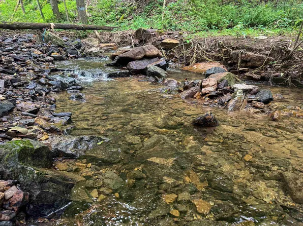 Laurel Dale Rd, New Creek, WV 26743