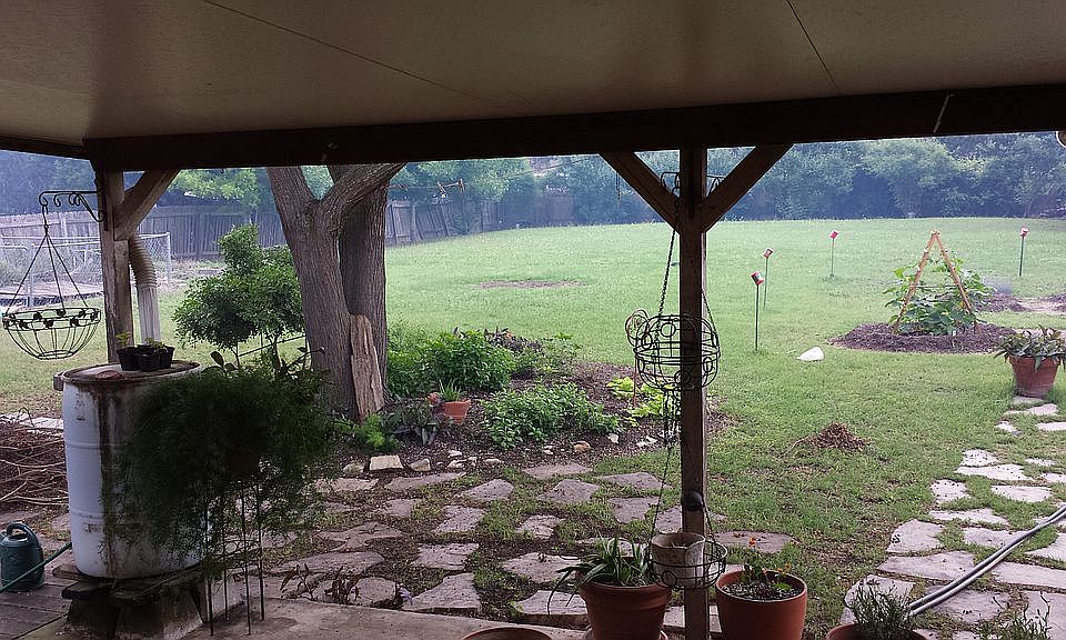 view from patio