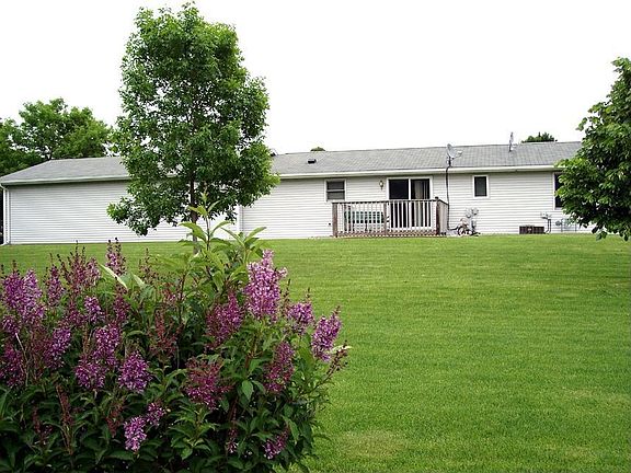 Backyard view 1