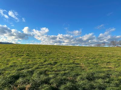 Hartland Farm Ln, Lewisburg, WV, 24901