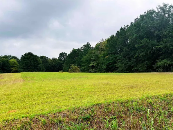 0 New Cut Rd, Campobello, SC 29322