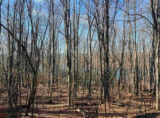 Lots 153 & 154 Clover Dr, Terra Alta, WV 26764