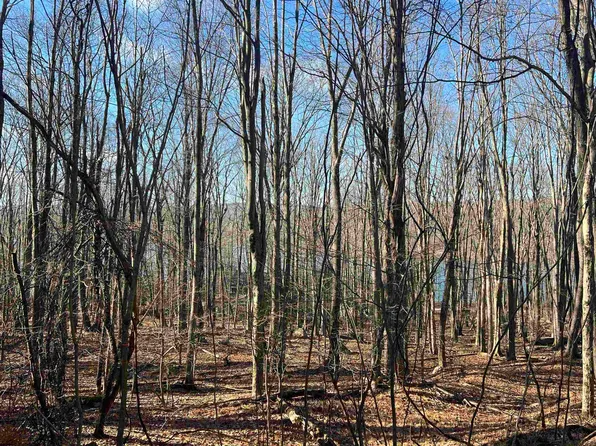 Lots 153 & 154 Clover Dr, Terra Alta, WV 26764