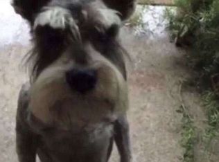 3190 Davie Blvd, Fort Lauderdale, FL 33312