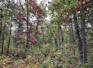 3243 Happy Trl, Irons, MI 49644