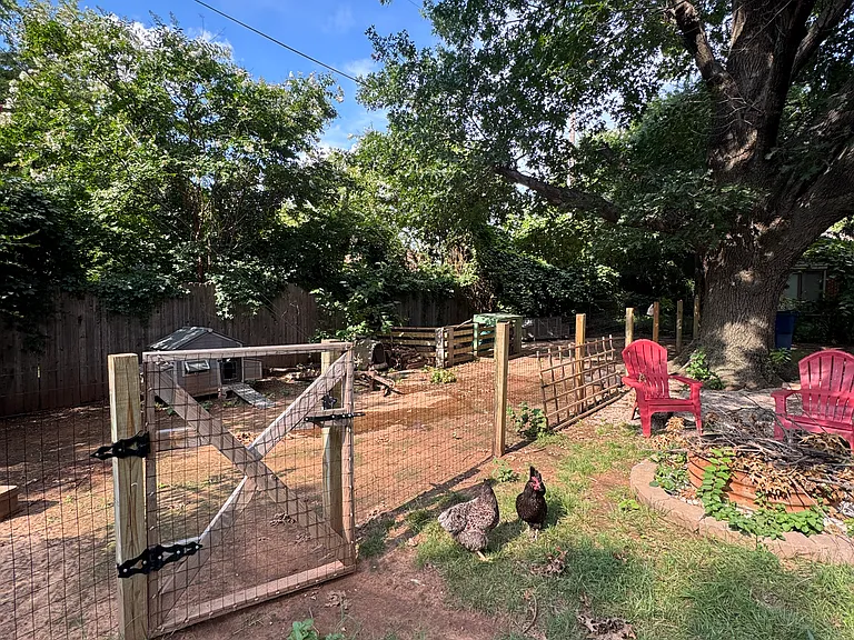 seperate fenced dog or chicken run.