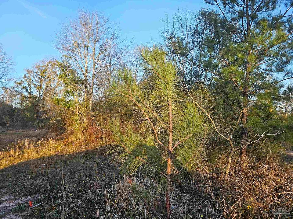 1st image of 304 S Chipper Rd