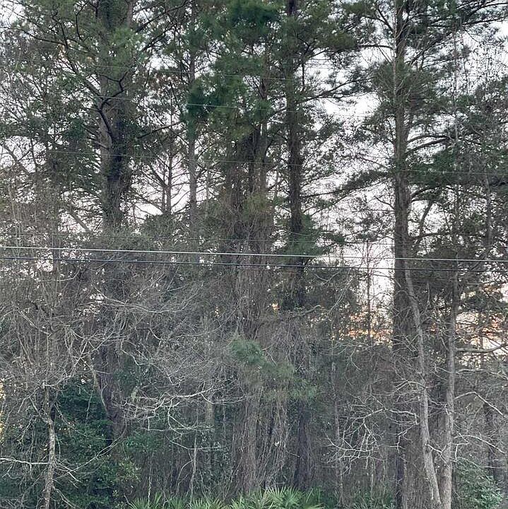 0 Highway 17, Woodbine, GA 31569 Zillow