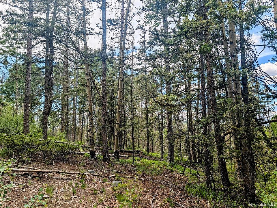 22nd image of 8.5 Acres Phillips Road