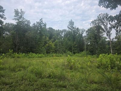 0 Forest Ln, Buchanan, TN, 38222