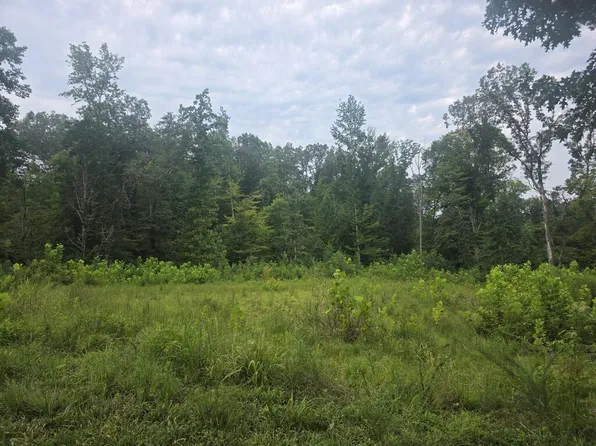 0 Forest Ln, Buchanan, TN 38222