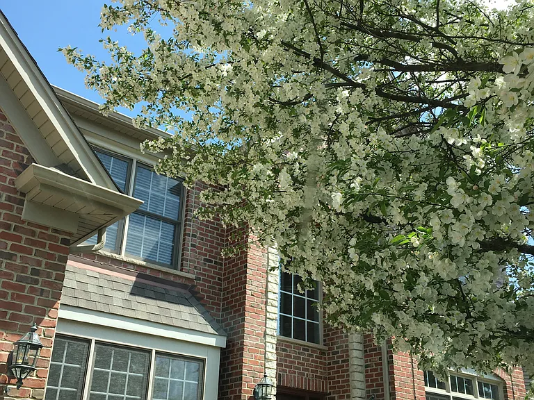3656 Hector Ln — Photo 6