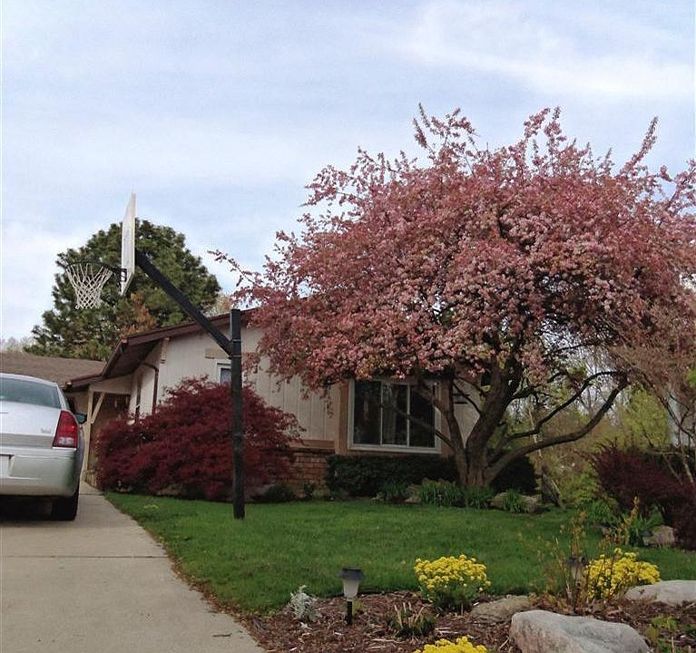1st image of 1651 Diamond Ct NE