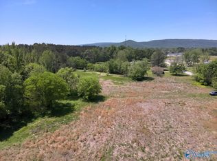 TRACT 2 Wilson Mann Rd, Owens Cross Roads, AL 35763